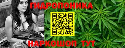мдпв Краснодар