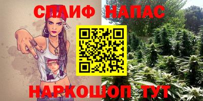 мдпв Краснодар
