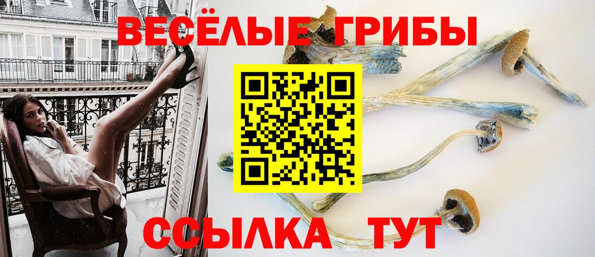 Ессентуки  Галлюциногенные грибы MAGIC MUSHROOMS  Вход с VPN 
