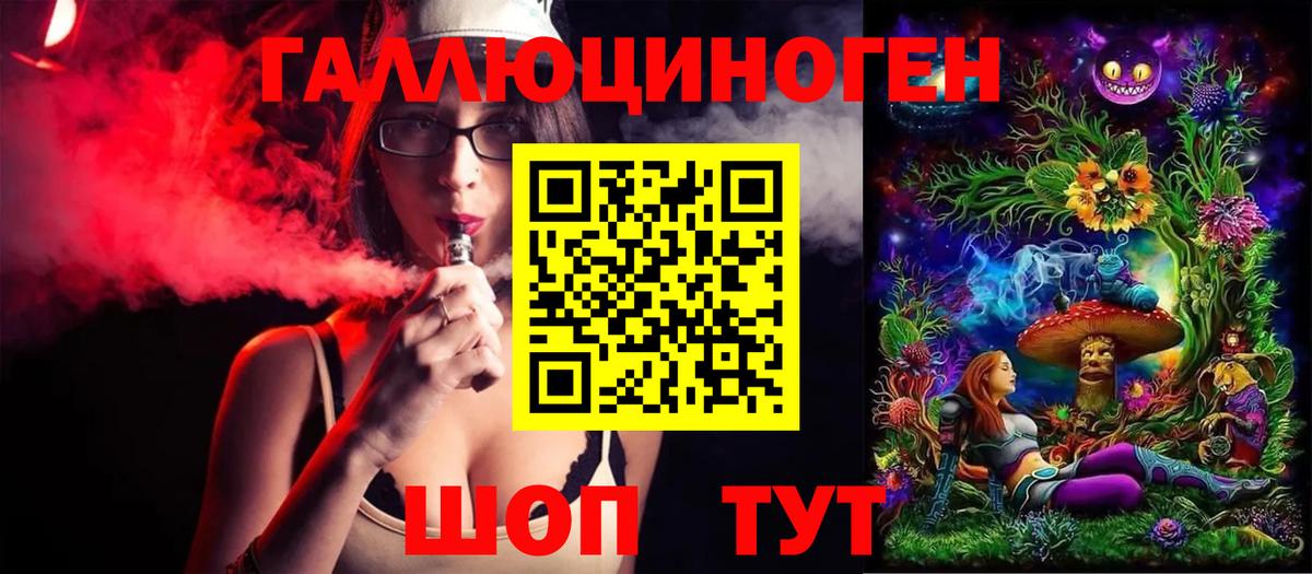 Псилоцибиновые грибы Psilocybe Ессентуки