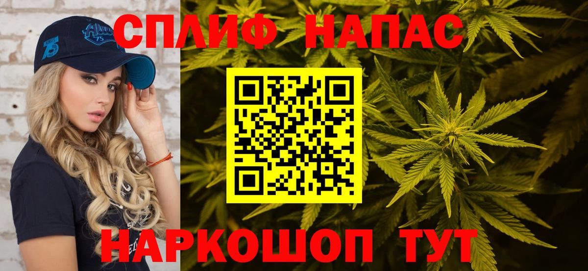 Ессентуки  Конопля тримм  Конопля конопля  Вход с VPN  Конопля семена 